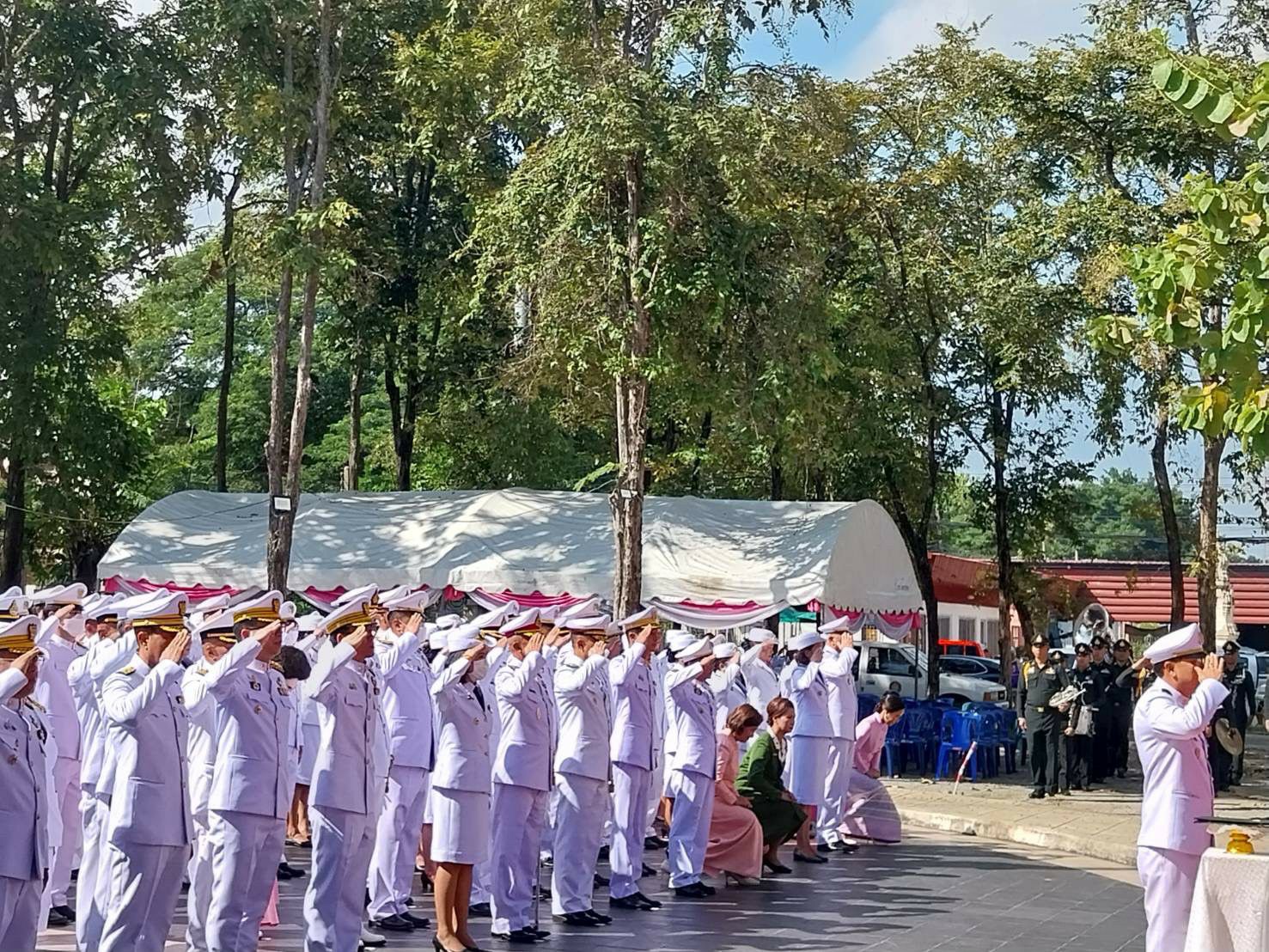 2019754_0.jpg
