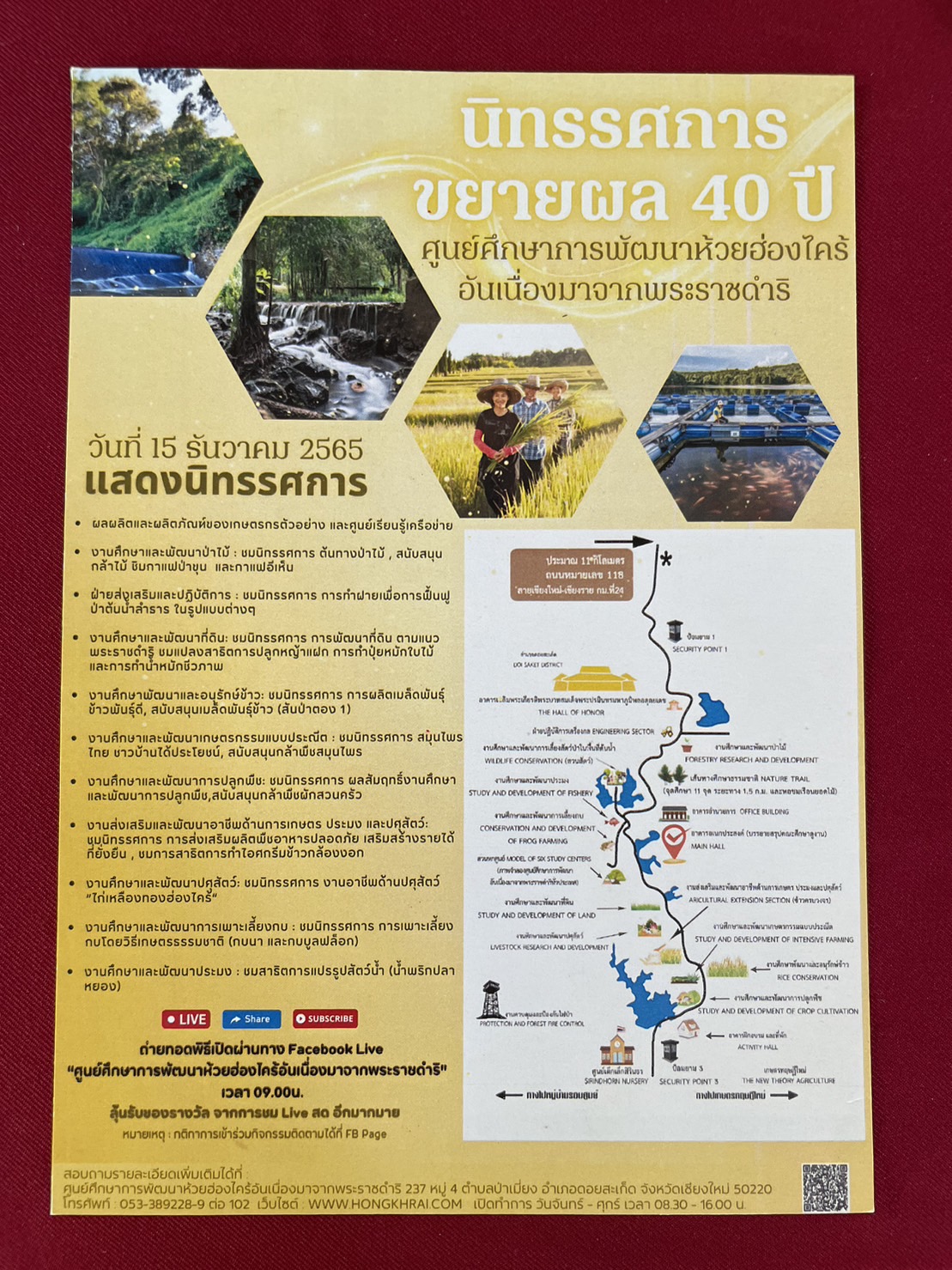 S__40190097.jpg