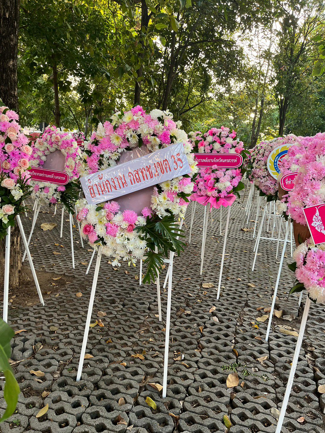 2019750_0.jpg