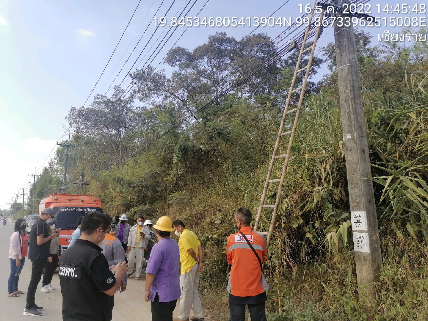 f.jpg